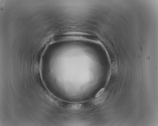 X0000060770474200511241758