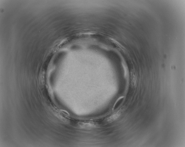 X0000060770475200511241758