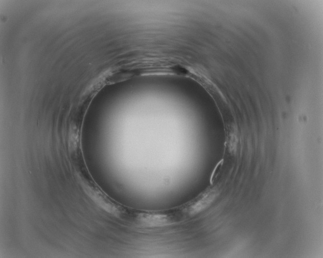 X0000060770476200511241758