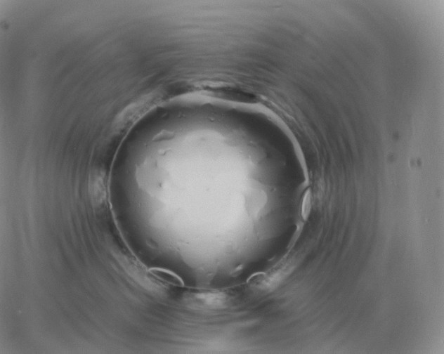 X0000060770478200511241758