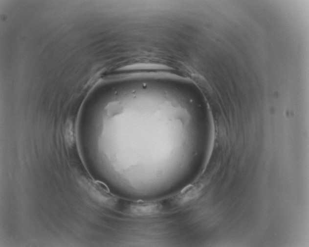 X0000060770479200511241758