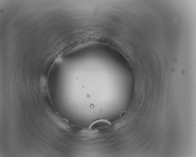 X0000060770480200511241758