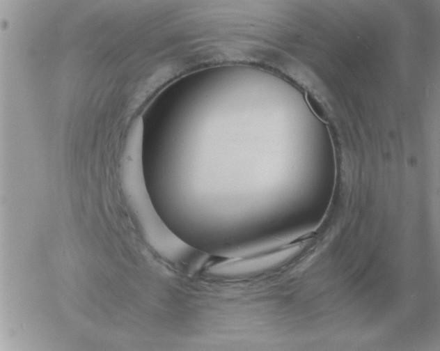 X0000060770481200511241757