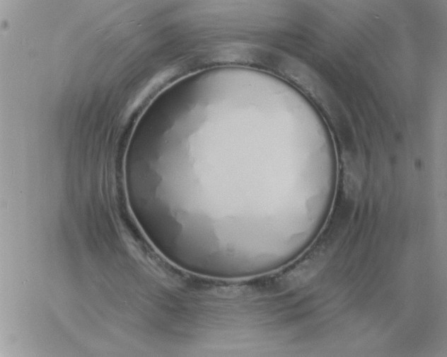 X0000060770482200511241757