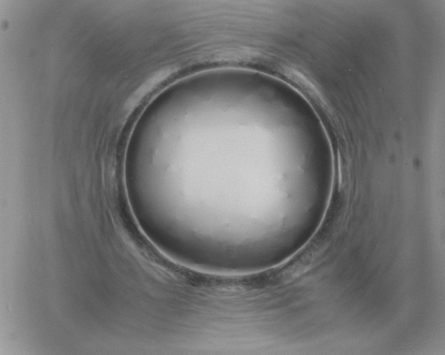 X0000060770483200511241757