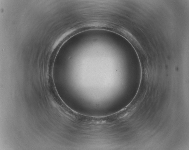 X0000060770484200511241757