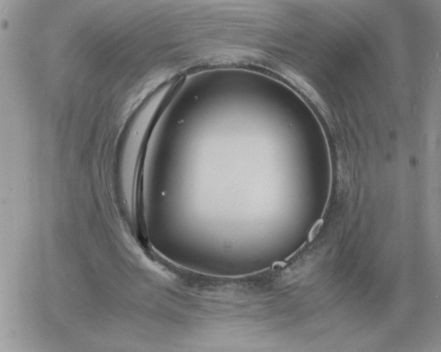 X0000060770485200511241757