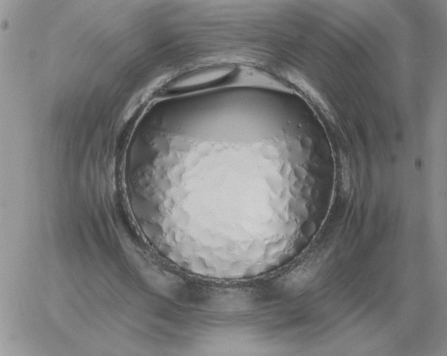 X0000060770486200511241757