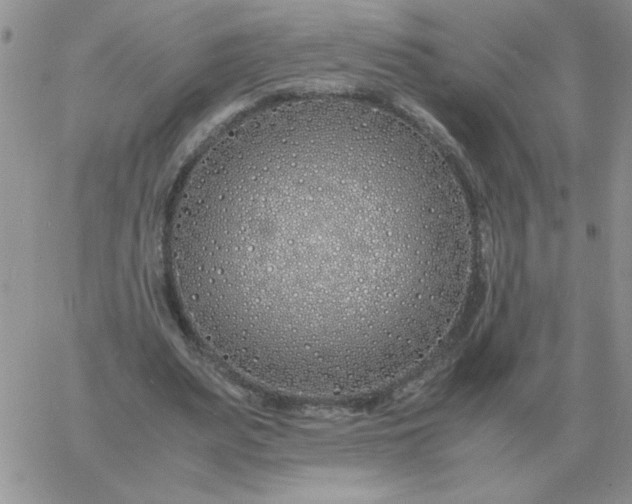 X0000060770487200511241757