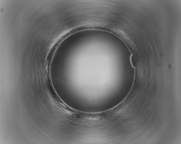 X0000060770488200511241757