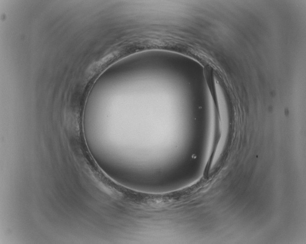 X0000060770489200511241757