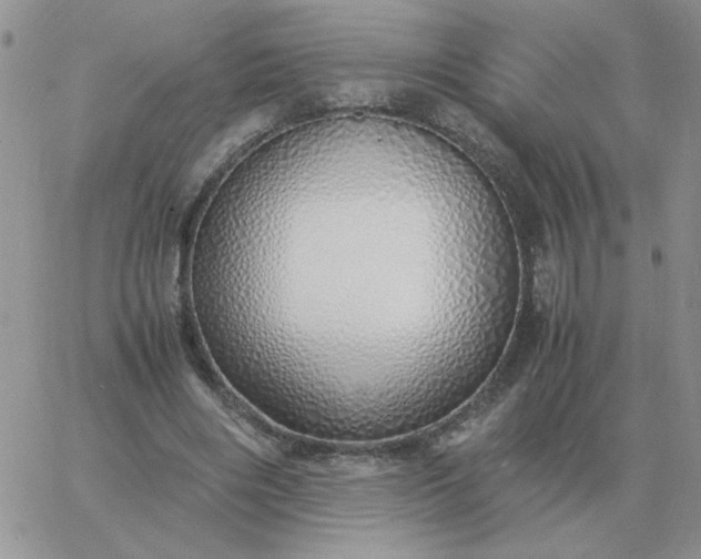 X0000060770490200511241757