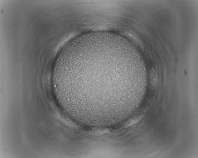 X0000060770491200511241757