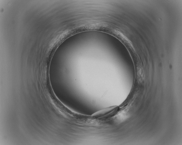 X0000060770493200511241757