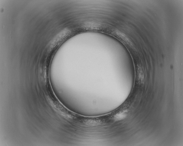 X0000060770494200511241757