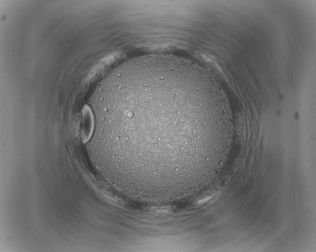 X0000060770495200511241757