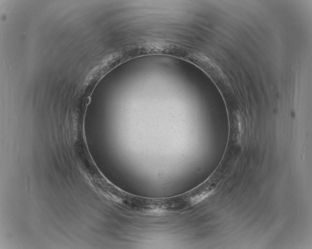 X0000060770496200511241757