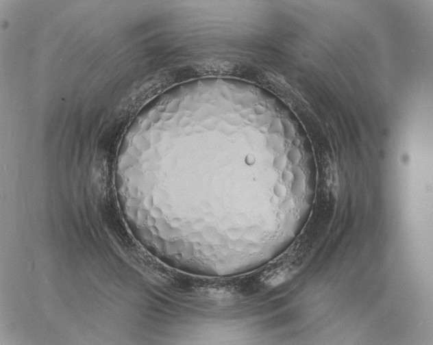 X0000060770498200511241757