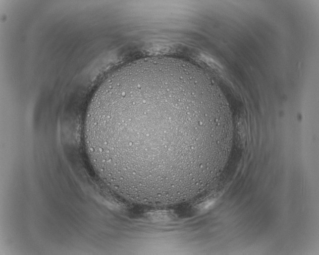 X0000060770499200511241757