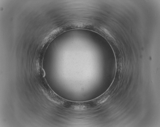 X0000060770500200511241757