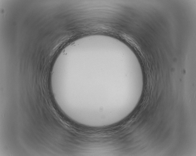 X0000060770501200511241757