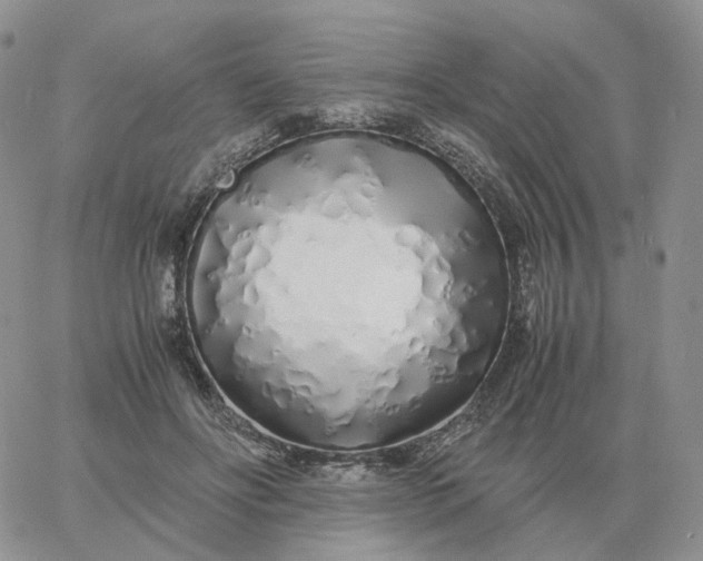 X0000060770502200511241757