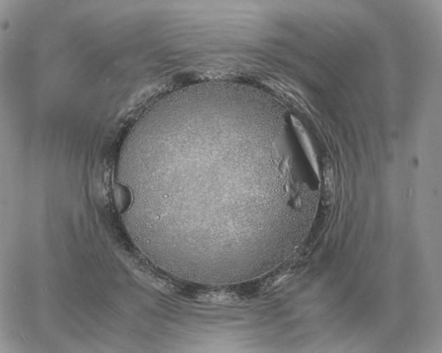 X0000060770503200511241757