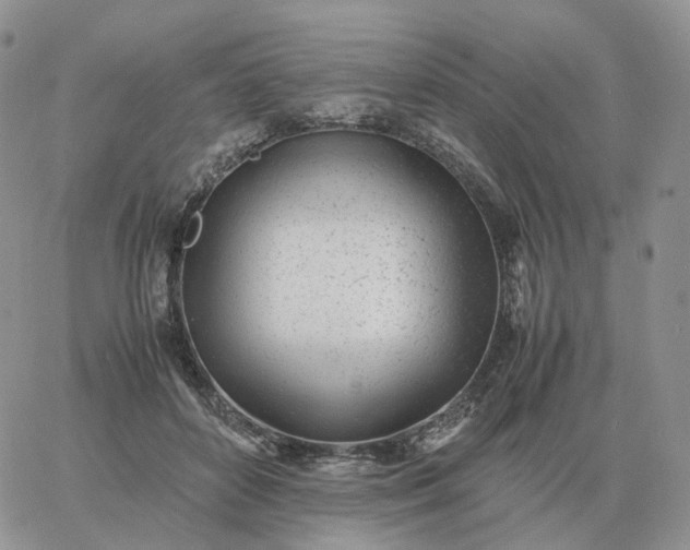 X0000060770504200511241757