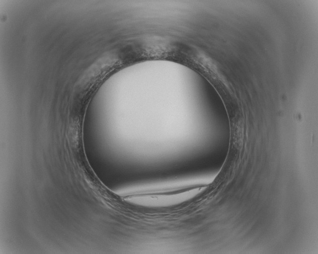 X0000060770505200511241757