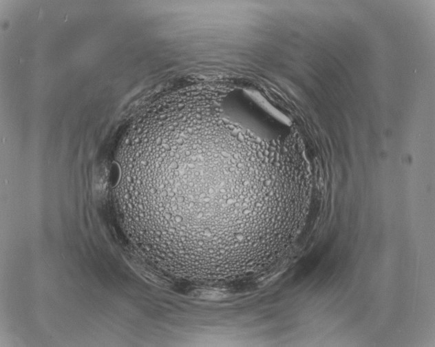 X0000060770507200511241757