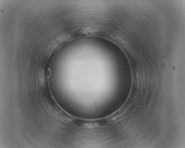 X0000060770508200511241757