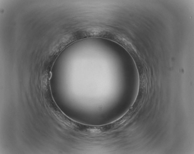 X0000060770509200511241757