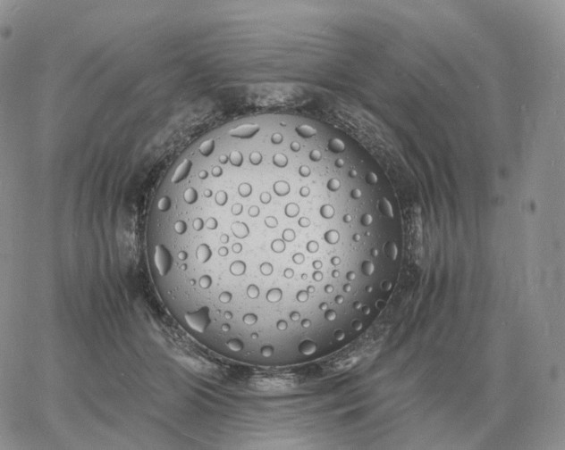 X0000060770510200511241757