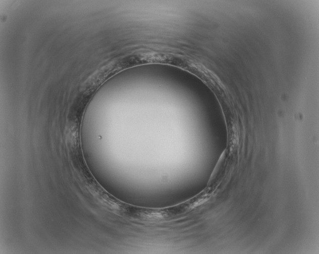 X0000060770513200511241757