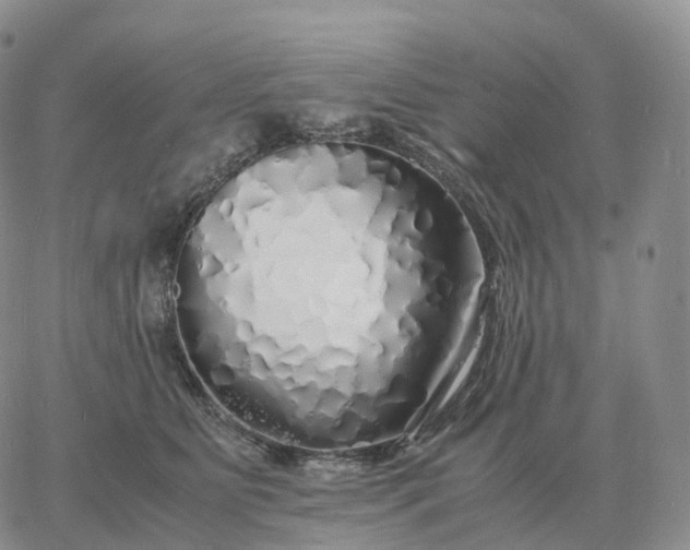 X0000060770515200511241757