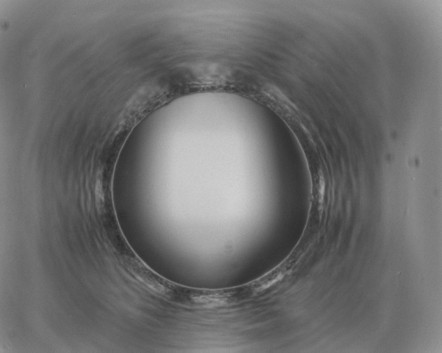 X0000060770516200511241757