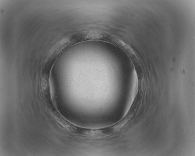 X0000060770517200511241757