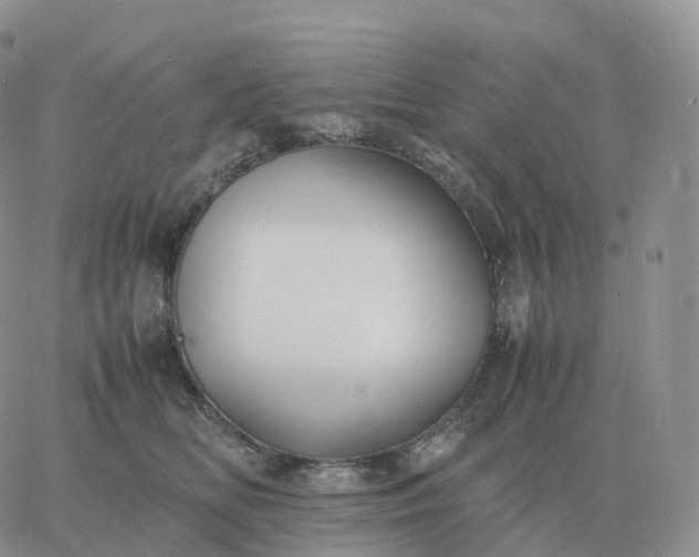 X0000060770518200511241757