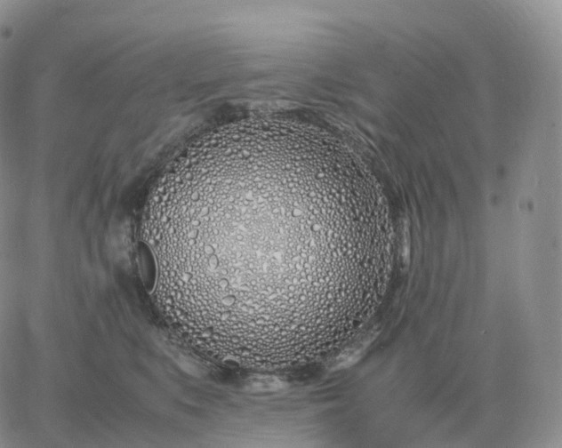 X0000060770519200511241757