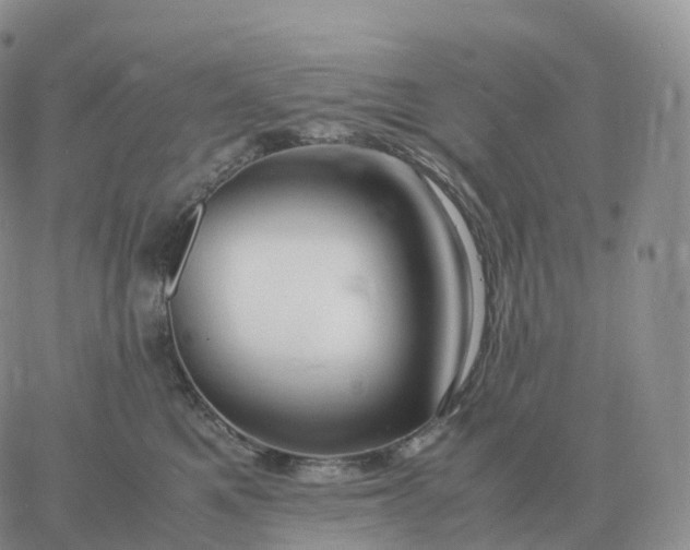 X0000060770521200511241757