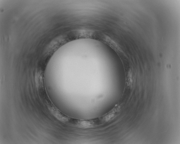 X0000060770522200511241757