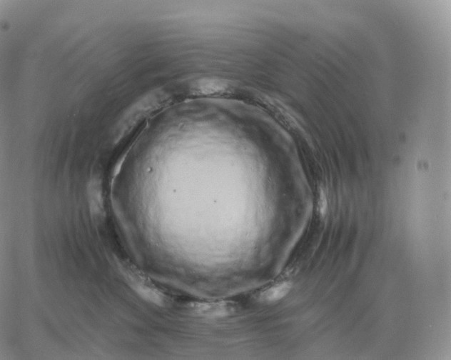 X0000060770524200511241757