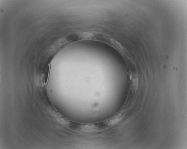 X0000060770525200511241757