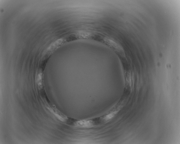 X0000060770526200511241757