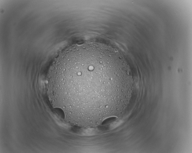 X0000060770527200511241757