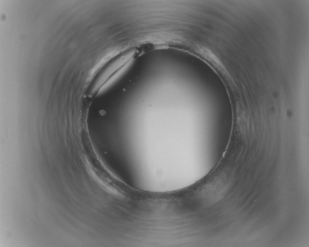 X0000060770530200511241756