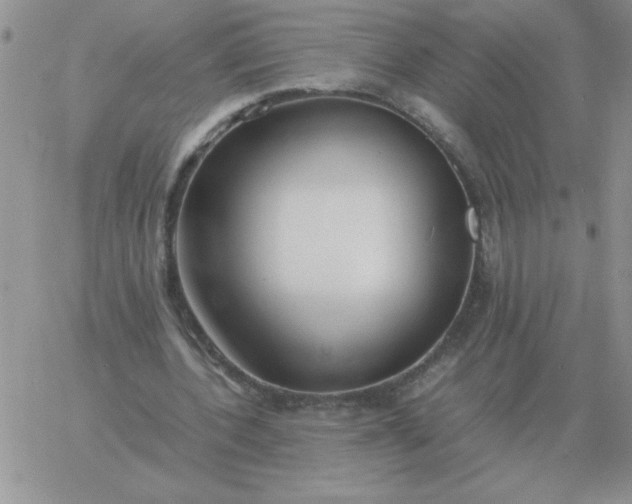 X0000060770532200511241756