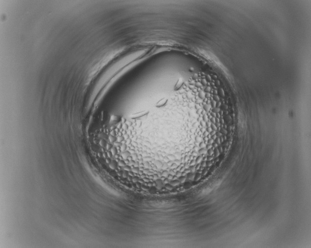 X0000060770533200511241756