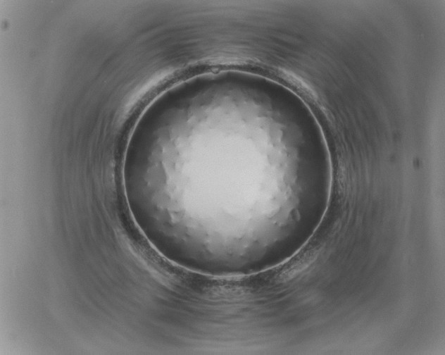 X0000060770535200511241756