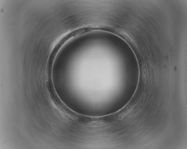 X0000060770536200511241756